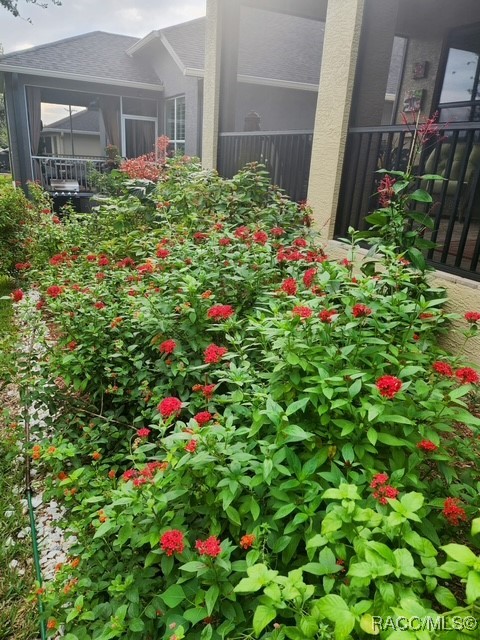 1749 W Caroline Path, Lecanto, Florida image 50