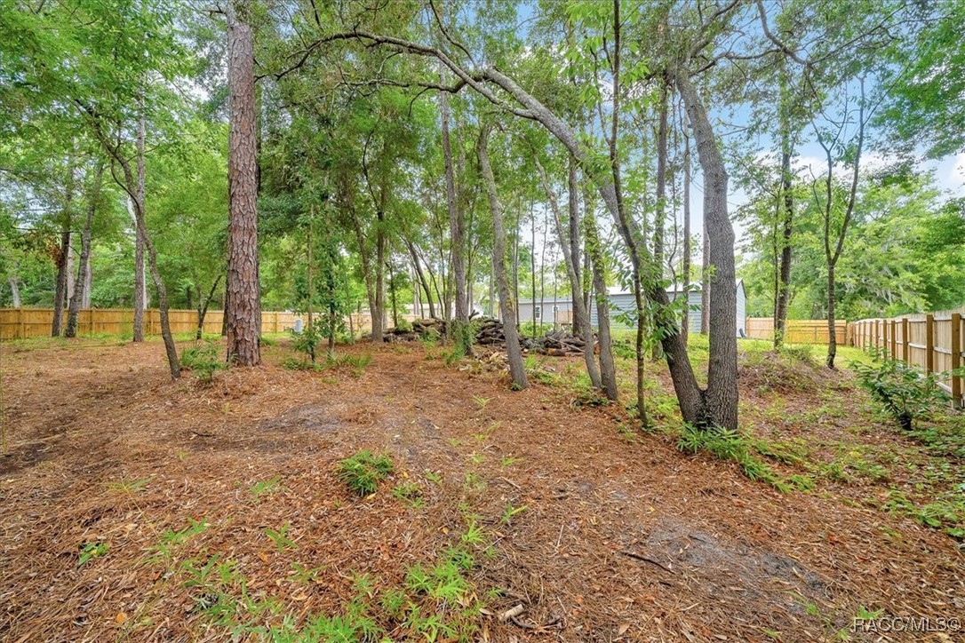 6910 W Rosedale Drive, Homosassa, Florida image 41