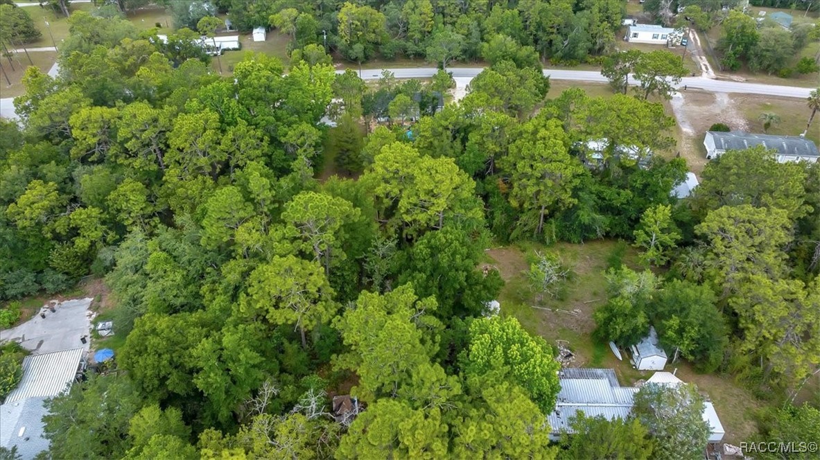6910 W Rosedale Drive, Homosassa, Florida image 46