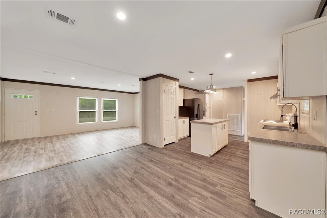 6910 W Rosedale Drive, Homosassa, Florida image 11