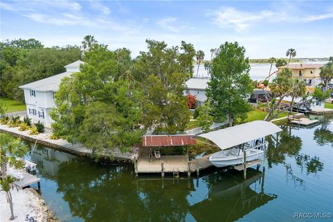 1035 N Appalachian Terrace Crystal River FL 34429