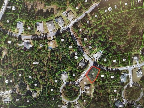 Vacant Land For Sale - 1 Sanders Court<br/> Homosassa, FL 34446