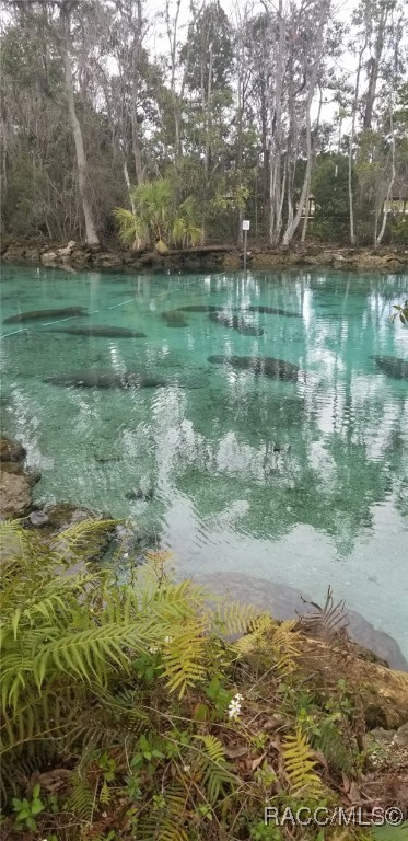 1202 SE 5th Avenue, Crystal River, Florida image 2
