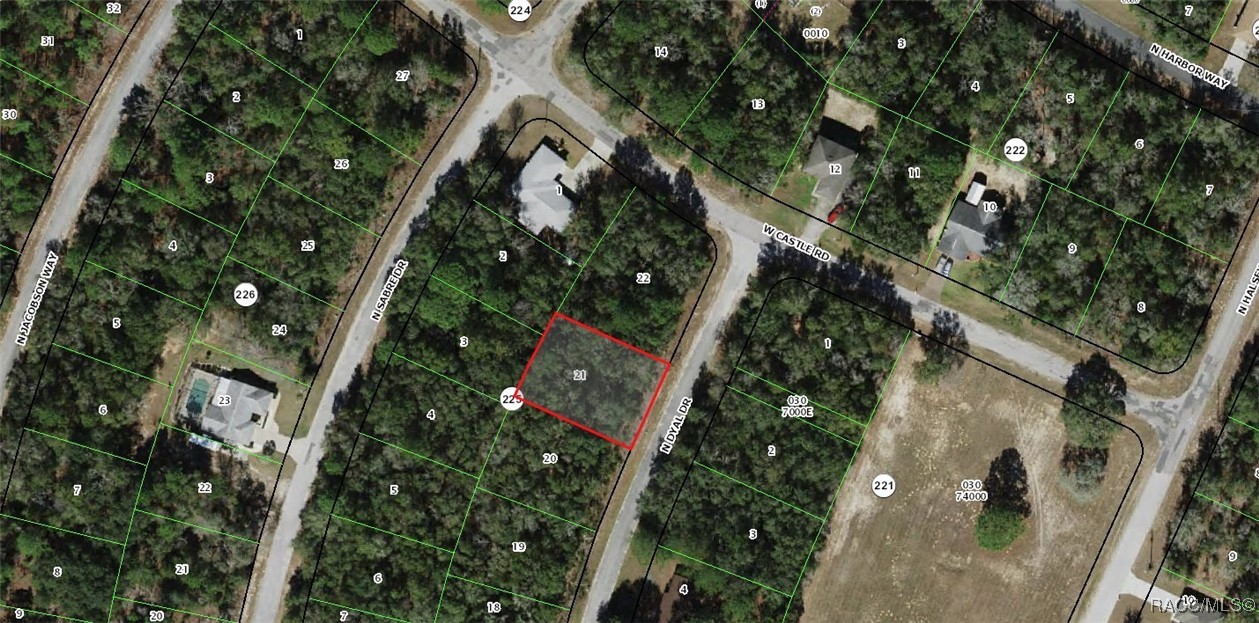 10210 N Dyal Drive, Citrus Springs, Florida image 2