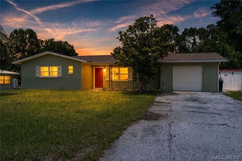 Homes For Sale - 227 Poinsettia Avenue<br/> Inverness, FL 34452