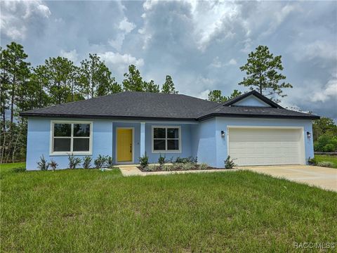 A home in Citrus Springs