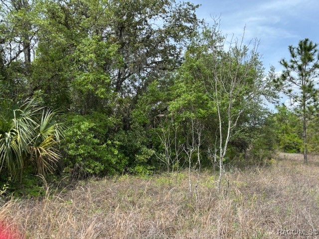 5831 W Dunnellon Road, Dunnellon, Florida image 2