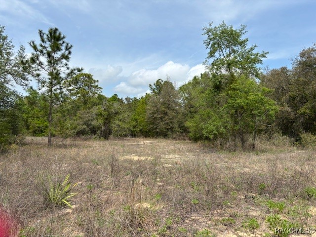 5831 W Dunnellon Road, Dunnellon, Florida image 4