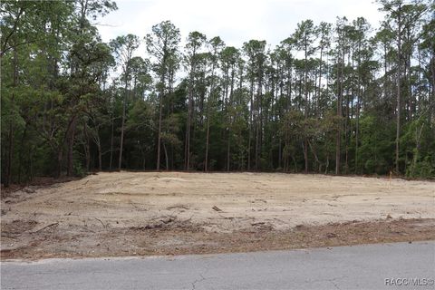 1188 W Tacoma Street Hernando FL 34442