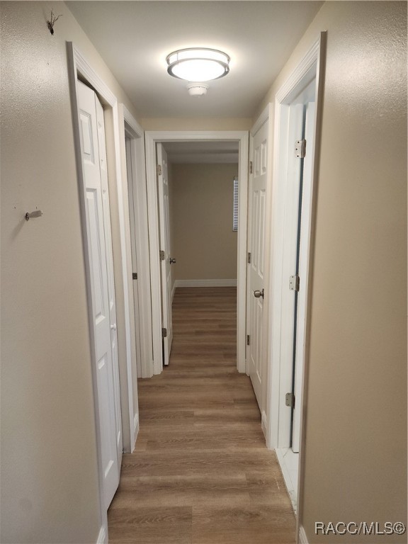 1625 N Oakhaven Terrace, Inverness, Florida image 12