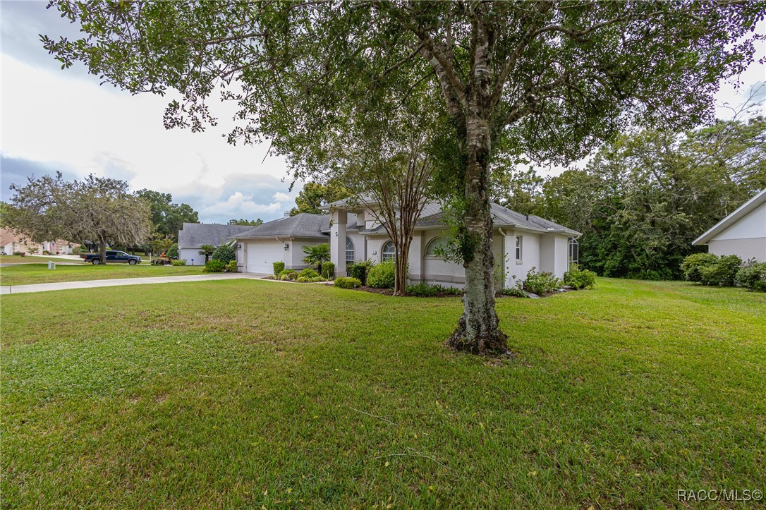 2 Spruce Pine Court N