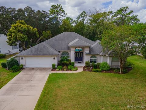 2 Spruce Pine Court N Homosassa FL 34446