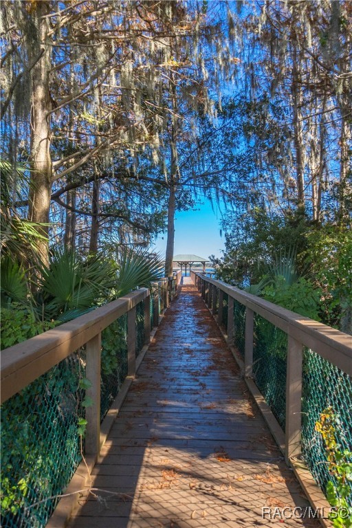 4692 N Lake Vista Trail, Hernando, Florida image 49
