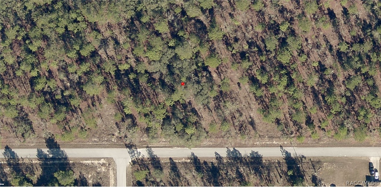 Lot 25 SW Cottonwood Lane #5D, Dunnellon, New York image 1
