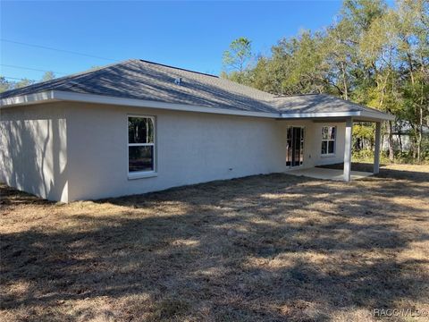 A home in Dunnellon