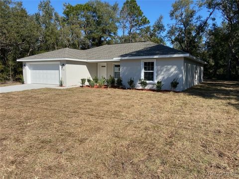 A home in Dunnellon