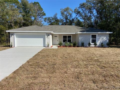 A home in Dunnellon