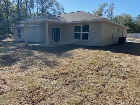 A home in Dunnellon