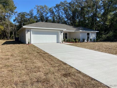 A home in Dunnellon