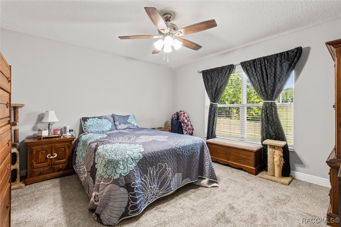 317 W Homeway Loop, Citrus Springs, Florida image 23