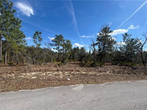 Vacant Land For Sale - 14 Smilax Court<br/> Homosassa, FL 34446