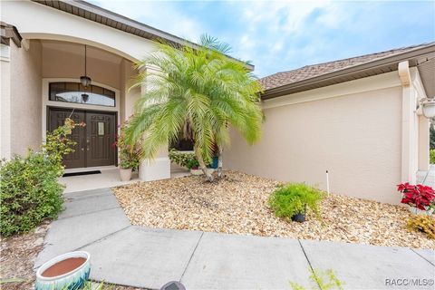 A home in Homosassa