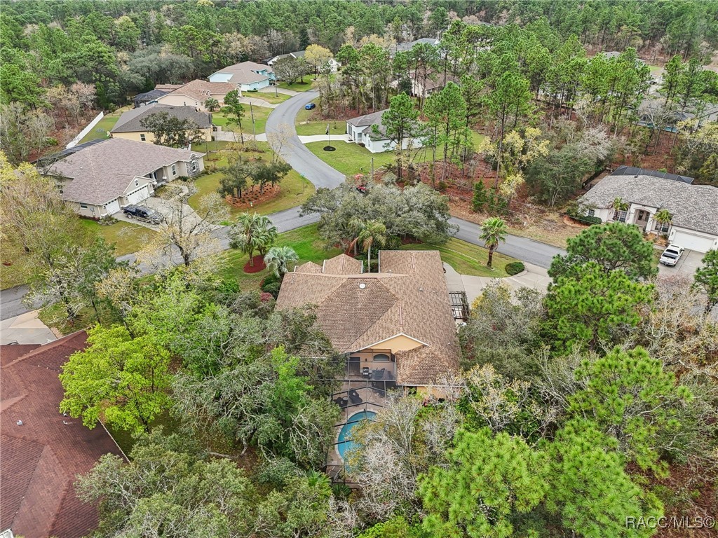 15 Pagoda Drive, Homosassa, Florida image 44