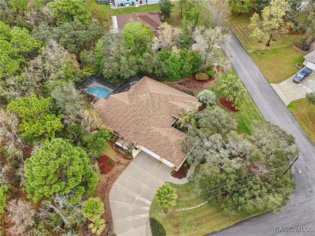 15 Pagoda Drive, Homosassa, Florida image 41