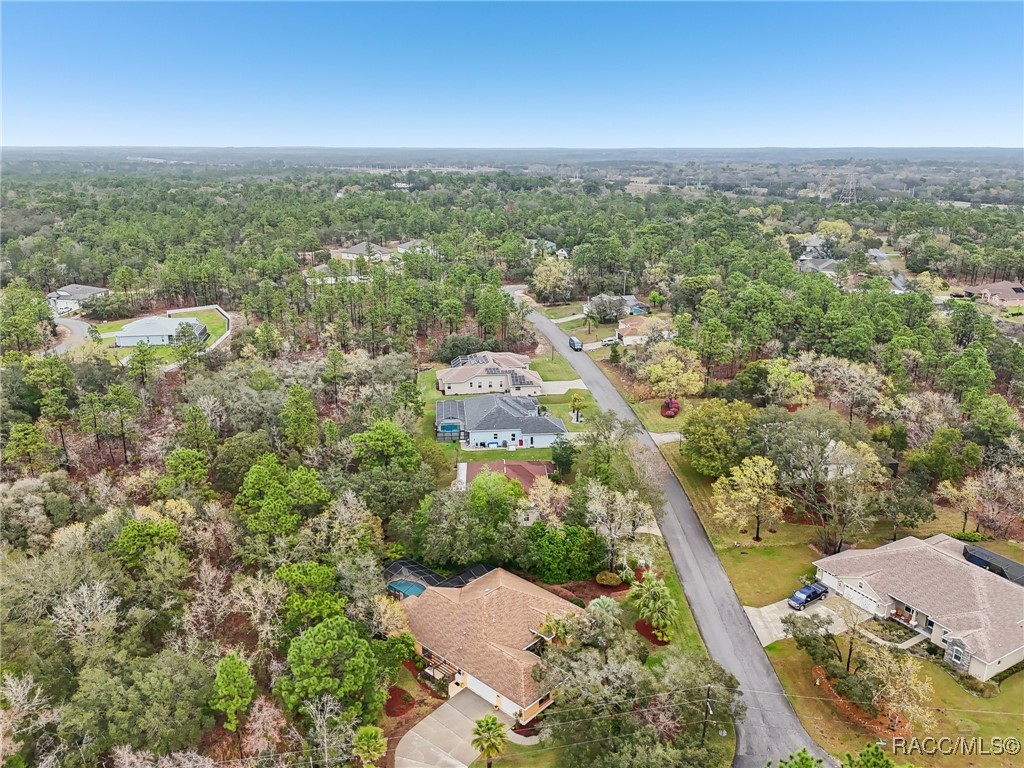 15 Pagoda Drive, Homosassa, Florida image 43