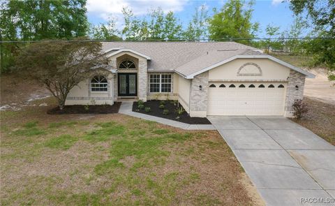 8306 N Vince Drive Citrus Springs FL 34434
