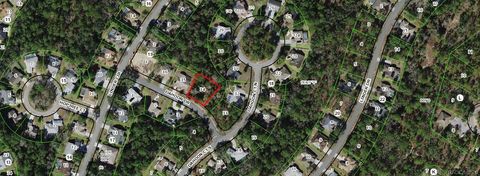 Vacant Land For Sale - 8 Dahoon Drive<br/> Citrus County, Homosassa, FL 34446