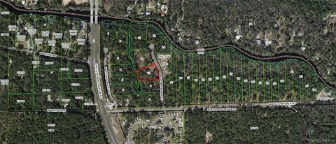 Vacant Land For Sale - 11120 N River Walk Point<br/> Inglis, FL 34449
