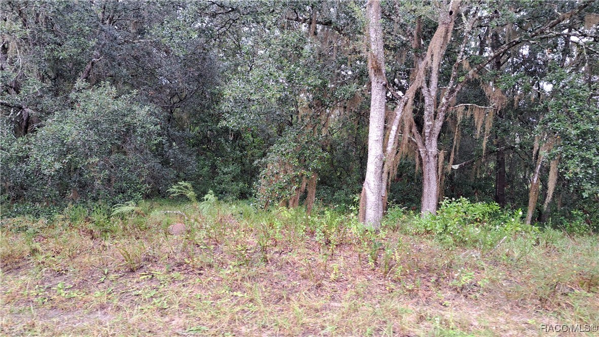 289 N highview Avenue