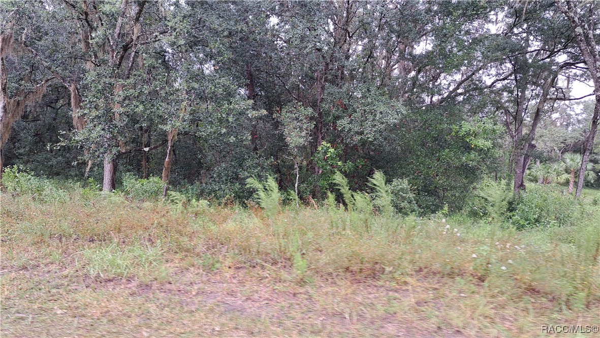 289 N highview Avenue