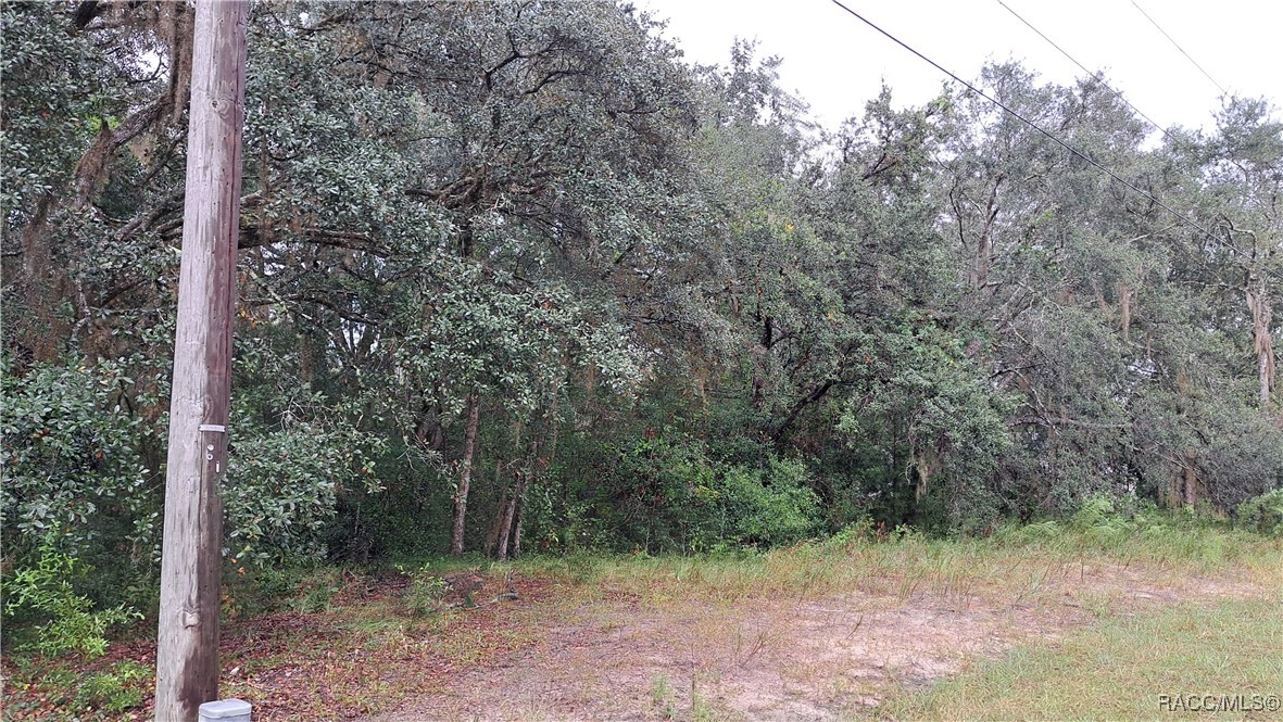 289 N highview Avenue