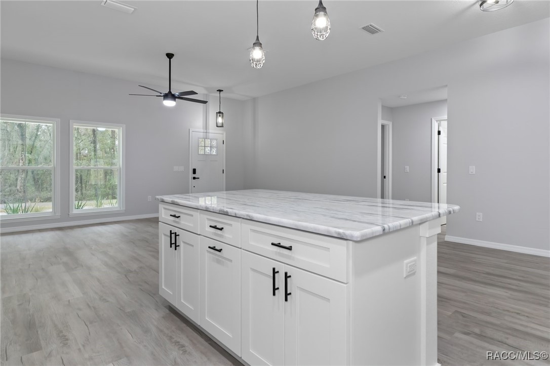 4925 S Skyblue Drive, Inverness, Florida image 14