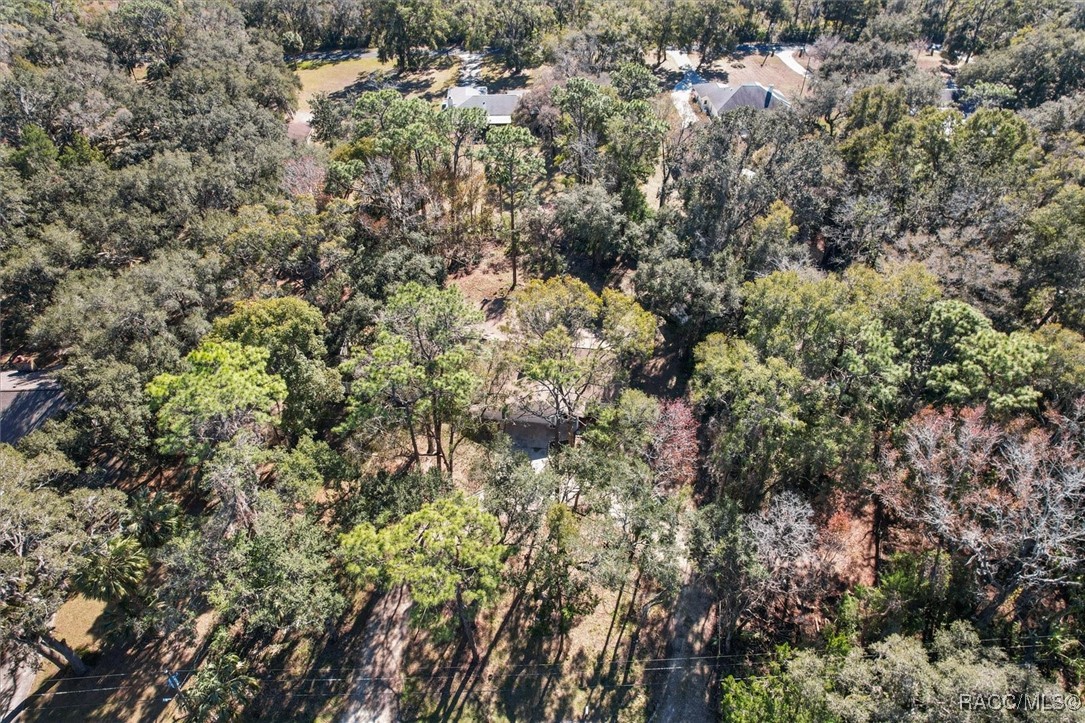 9480 W Caravan Path, Crystal River, New York image 41