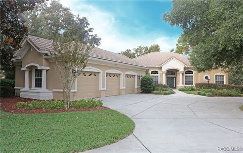 A home in Hernando