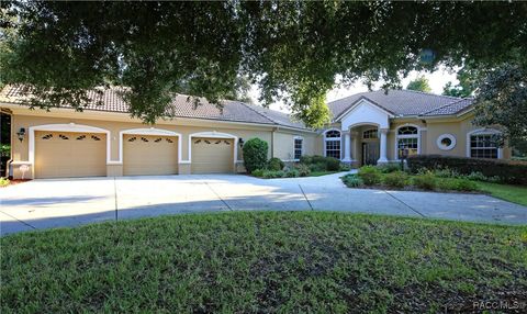 A home in Hernando