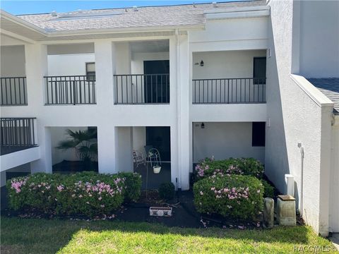 Condo For Sale - 129 Anton Court<br/> Citrus County, Homosassa, FL 34446