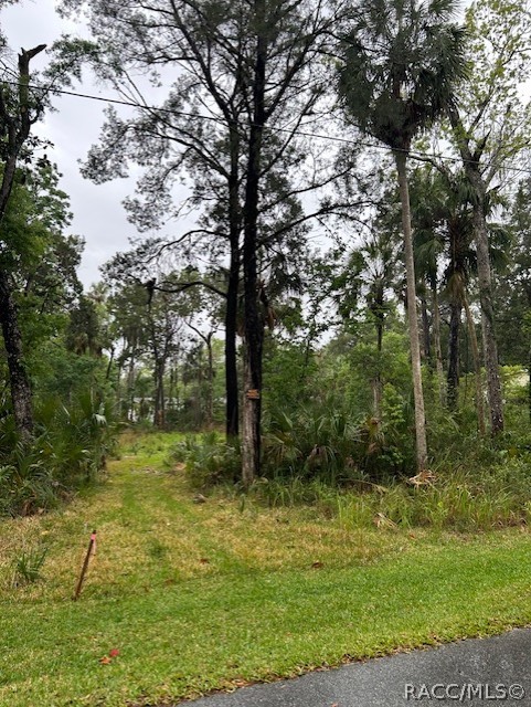 Photo 1 of 6 — 11070 W Bareto Lane, Homosassa, FL 34448