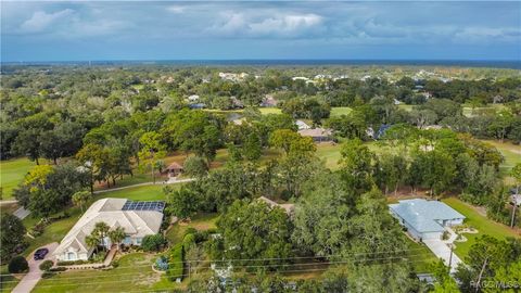 A home in Hernando