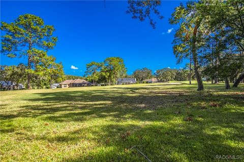 A home in Hernando