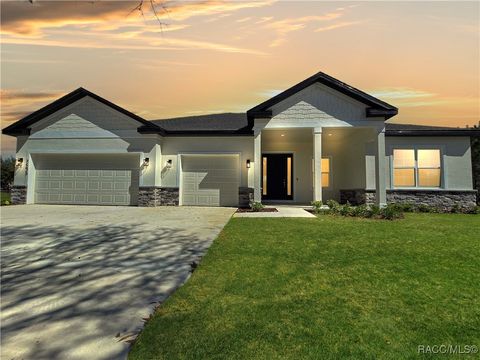 2645 N Annapolis Avenue Hernando FL 34442