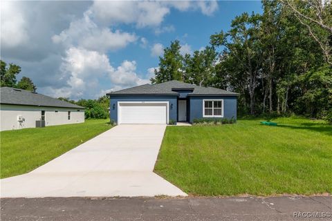 A home in Citrus Springs