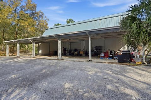 5191 E Anna Jo Drive Inverness FL 34452