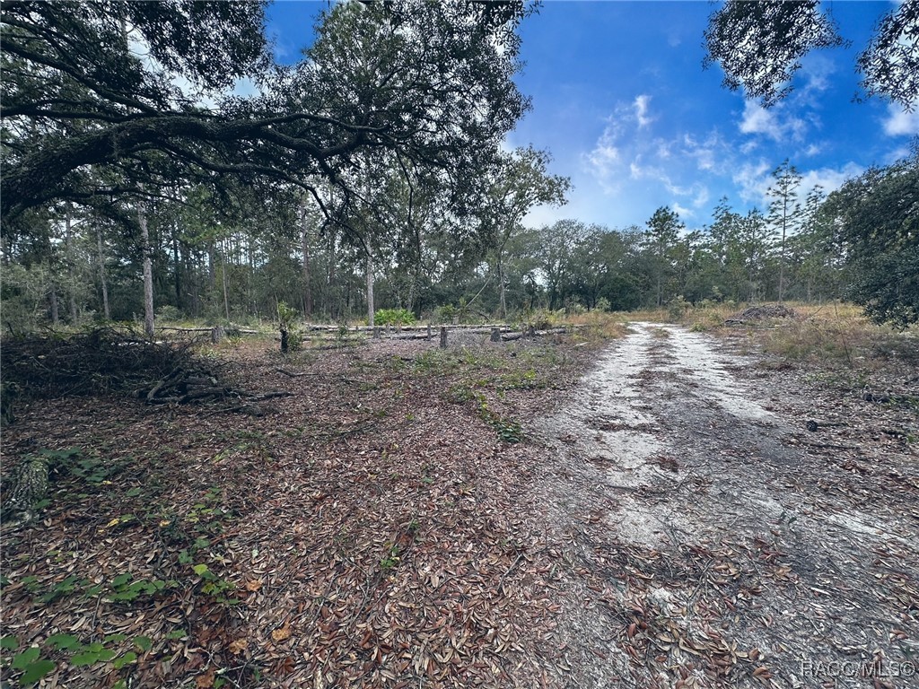 133rd Avenue, Dunnellon, Florida image 7