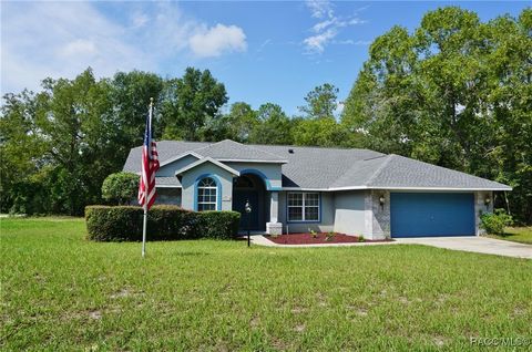 10058 N Conrad Point Citrus Springs FL 34434