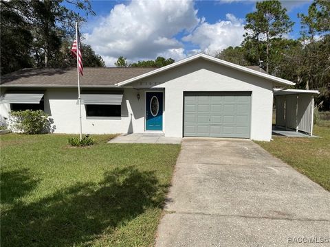 A home in Dunnellon