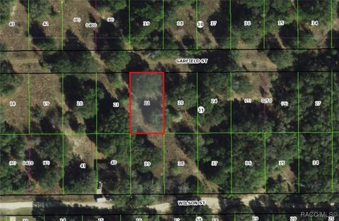 Vacant Land For Sale - 2303 Garfield Street<br/> Inverness, FL 34453
